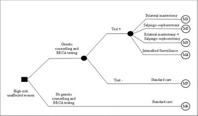 Cost-Effectiveness of BRCA 1/2 Genetic Test and Preventive Strategies: Using Real-World Data From an Upper-Middle Income Country